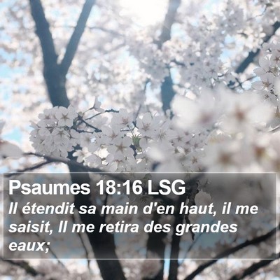 Psaumes 18:16 LSG Bible Verse Image