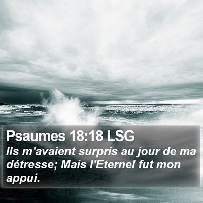 Psaumes 18:18 LSG Bible Verse Image