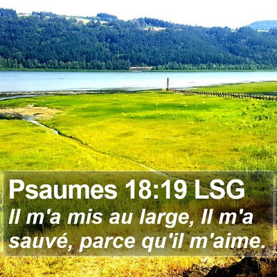 Psaumes 18:19 LSG Bible Verse Image