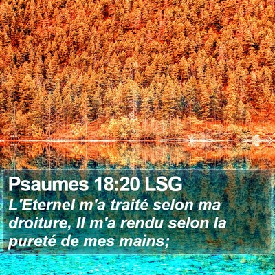 Psaumes 18:20 LSG Bible Verse Image