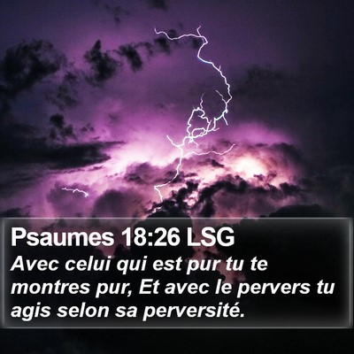 Psaumes 18:26 LSG Bible Verse Image