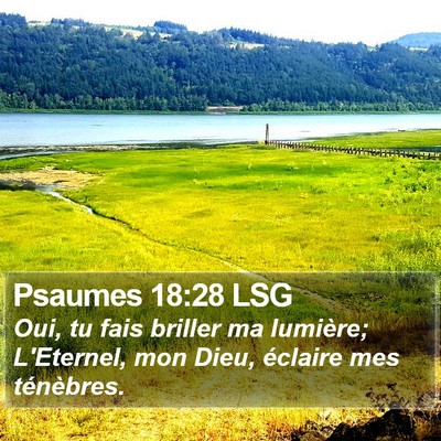 Psaumes 18:28 LSG Bible Verse Image