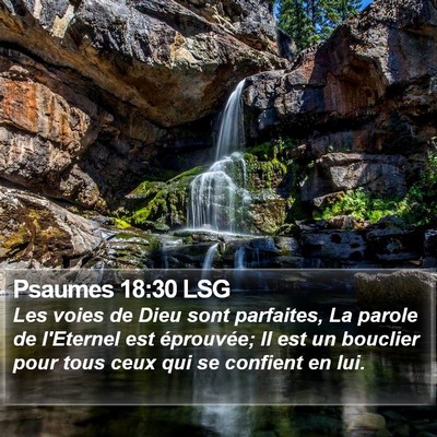 Psaumes 18:30 LSG Bible Verse Image