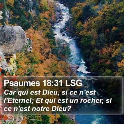 Psaumes 18:31 LSG Bible Verse Image