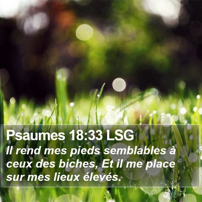 Psaumes 18:33 LSG Bible Verse Image