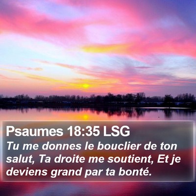 Psaumes 18:35 LSG Bible Verse Image