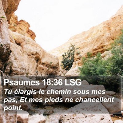 Psaumes 18:36 LSG Bible Verse Image