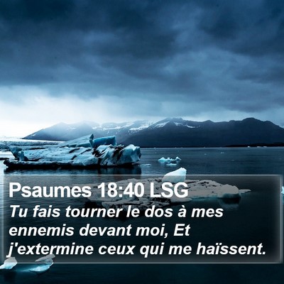 Psaumes 18:40 LSG Bible Verse Image