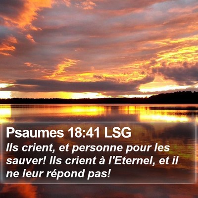 Psaumes 18:41 LSG Bible Verse Image