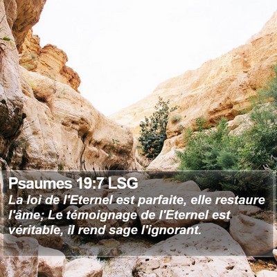 Psaumes 19:7 LSG Bible Verse Image