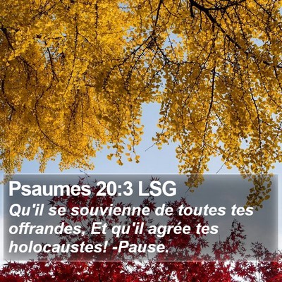 Psaumes 20:3 LSG Bible Verse Image