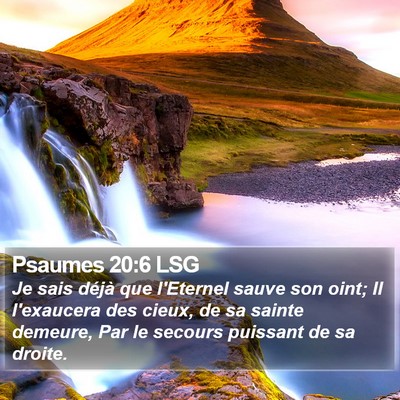Psaumes 20:6 LSG Bible Verse Image