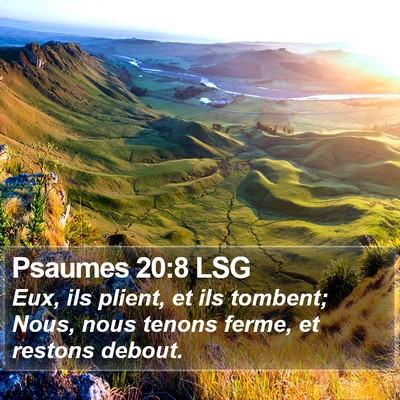 Psaumes 20:8 LSG Bible Verse Image