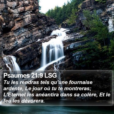 Psaumes 21:9 LSG Bible Verse Image
