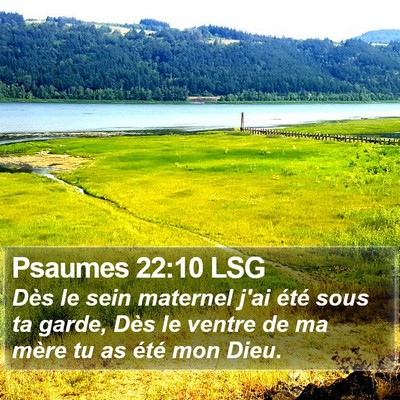 Psaumes 22:10 LSG Bible Verse Image
