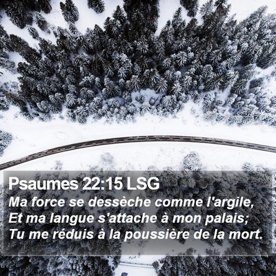 Psaumes 22:15 LSG Bible Verse Image