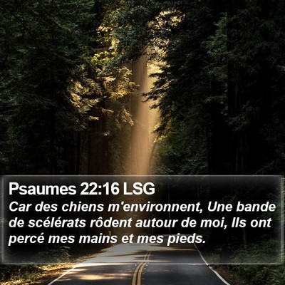 Psaumes 22:16 LSG Bible Verse Image