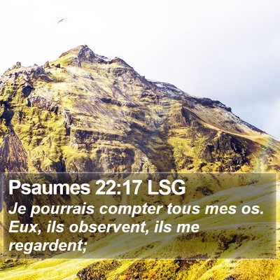 Psaumes 22:17 LSG Bible Verse Image