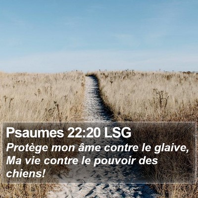 Psaumes 22:20 LSG Bible Verse Image