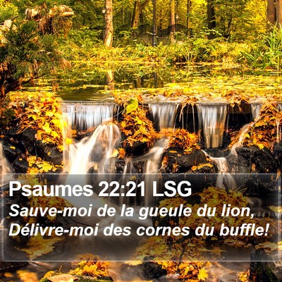 Psaumes 22:21 LSG Bible Verse Image