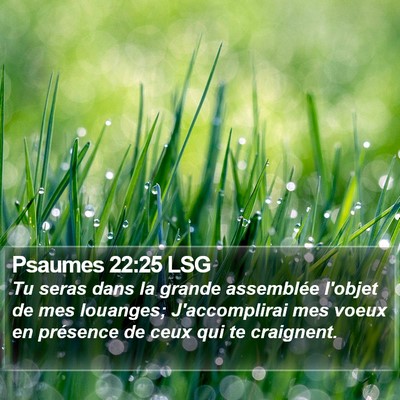 Psaumes 22:25 LSG Bible Verse Image