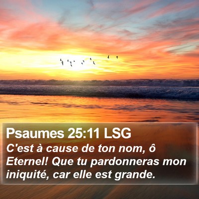 Psaumes 25:11 LSG Bible Verse Image