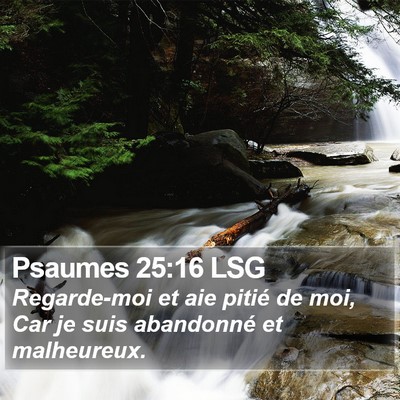 Psaumes 25:16 LSG Bible Verse Image