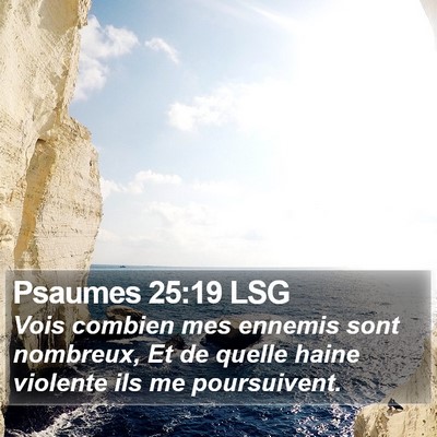 Psaumes 25:19 LSG Bible Verse Image