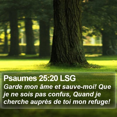 Psaumes 25:20 LSG Bible Verse Image