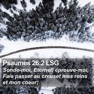 Psaumes 26:2 LSG Bible Verse Image
