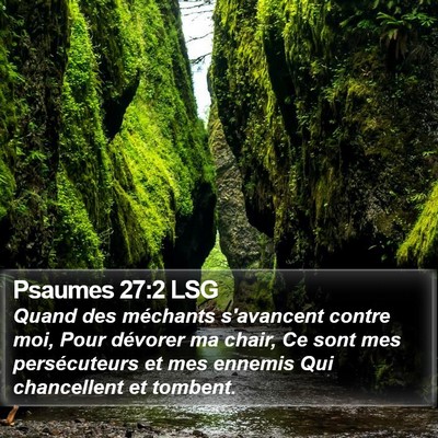 Psaumes 27:2 LSG Bible Verse Image