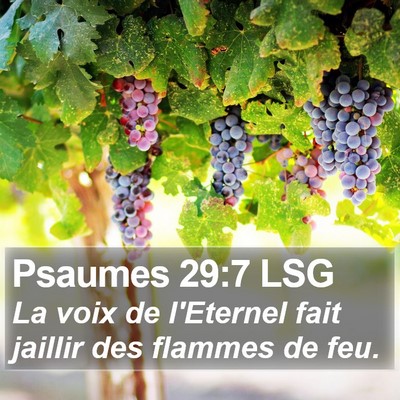 Psaumes 29:7 LSG Bible Verse Image