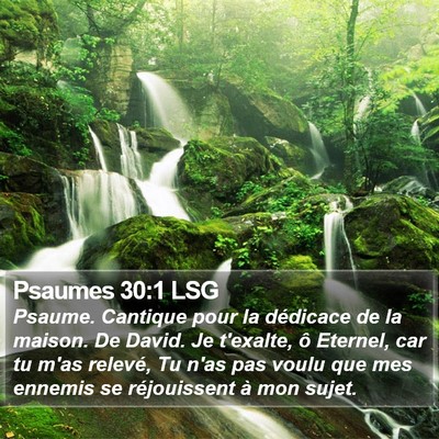 Psaumes 30:1 LSG Bible Verse Image
