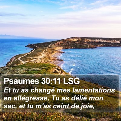 Psaumes 30:11 LSG Bible Verse Image