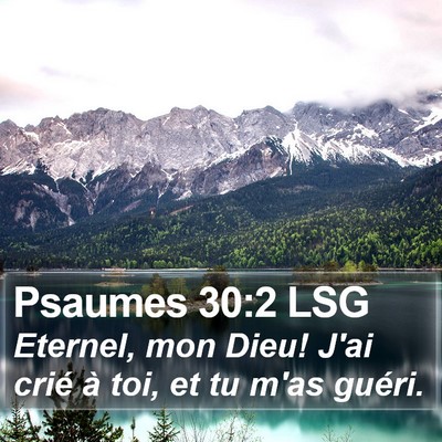 Psaumes 30:2 LSG Bible Verse Image