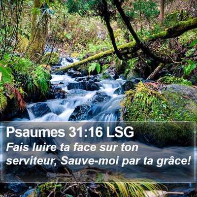 Psaumes 31:16 LSG Bible Verse Image