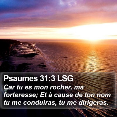 Psaumes 31:3 LSG Bible Verse Image