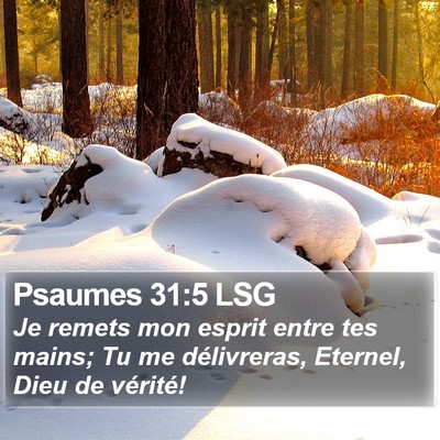 Psaumes 31:5 LSG Bible Verse Image