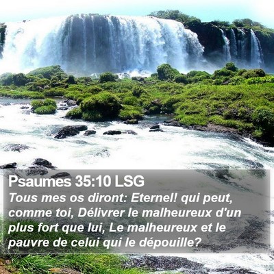Psaumes 35:10 LSG Bible Verse Image