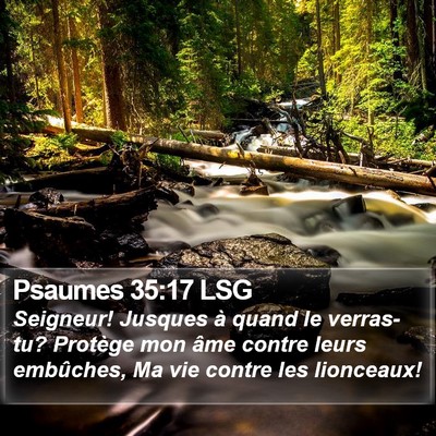 Psaumes 35:17 LSG Bible Verse Image