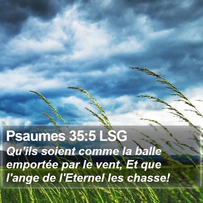 Psaumes 35:5 LSG Bible Verse Image