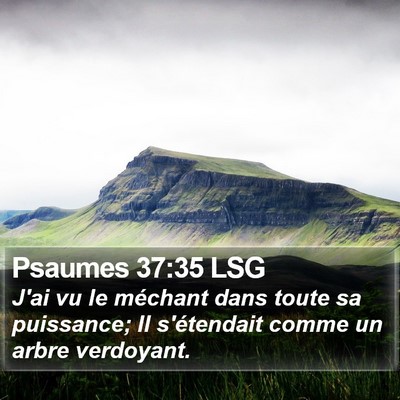 Psaumes 37:35 LSG Bible Verse Image