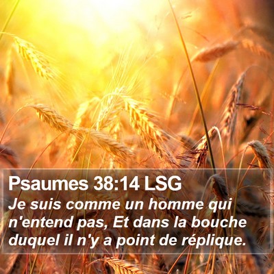 Psaumes 38:14 LSG Bible Verse Image