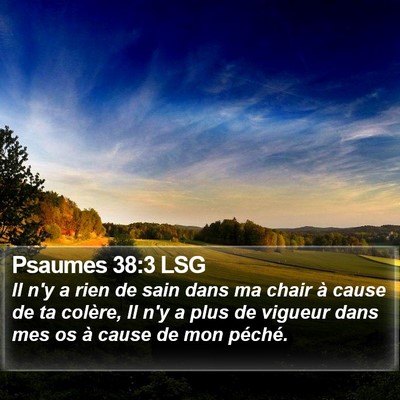 Psaumes 38:3 LSG Bible Verse Image