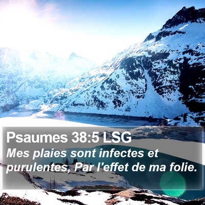 Psaumes 38:5 LSG Bible Verse Image