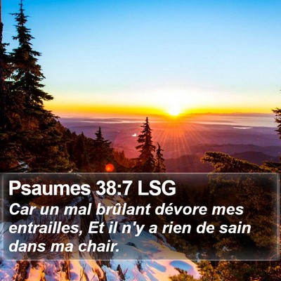 Psaumes 38:7 LSG Bible Verse Image