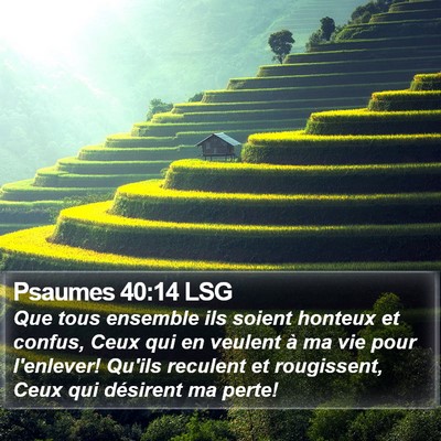 Psaumes 40:14 LSG Bible Verse Image