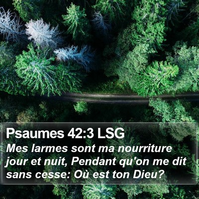 Psaumes 42:3 LSG Bible Verse Image