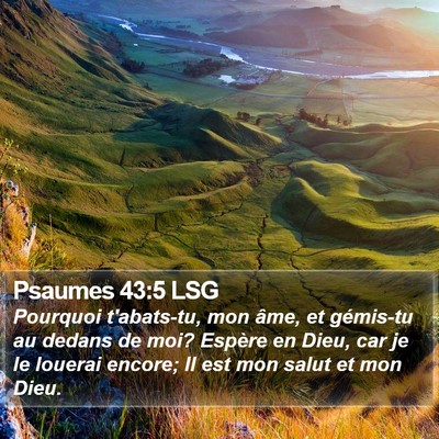 Psaumes 43:5 LSG Bible Verse Image