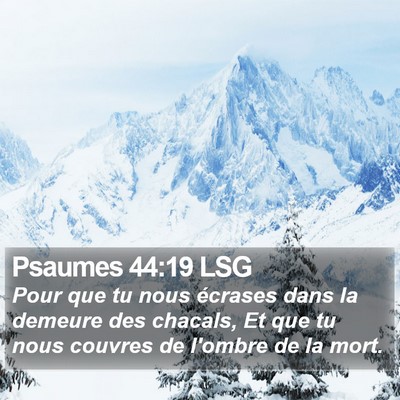 Psaumes 44:19 LSG Bible Verse Image